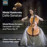 Cello Sonata no. 1 in D major, op. 12: Adagio - Andante