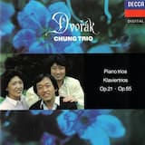 Piano Trio no. 3 in F minor, op. 65: I. Allegro ma non troppo