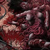 Force Fed Ruptured Bowel Fluid