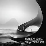 Magnetic Storm Echoes