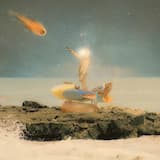 Dirt Around the Tree