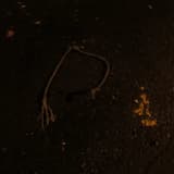 No Breath Oblige (Part 1)