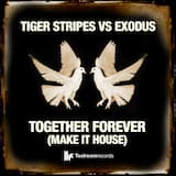 Together Forever (Make It House) (main mix)