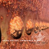 Rise With Me (Prime Cuts ver)