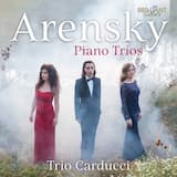 Piano Trio no. 1 in D minor, op. 32: I. Allegro moderato