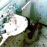 ᎠᎾᏁᏖ ᏟᎡᎩ 4 ᎻᎬᏝᏢ — ᎫᏌᏕᏖ ÐᏆÉ!