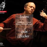 Hungarian Dances for orchestra, WoO 1, Book 1, No. 5 in G minor: Allegro - Vivace