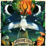 Signposts and Instruments