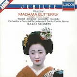 Madama Butterfly: Atto I. “Dovunque al mondo”