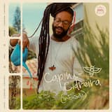 Tudo Vai Passar (Infusão)