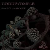 Coddiwomple