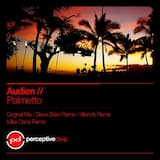 Palmetto (original mix)