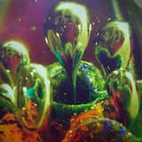 (wanted to) so I went there with you