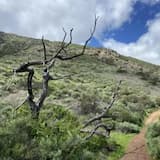 The Benefits of a Common First and Last Name