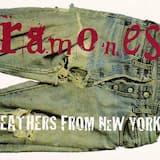 The Wonderful Widow of Eighteen Springs