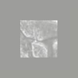 Szene in der Wüste (Audhentik & Cop Dickie remix)