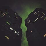 Одинокий друг