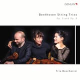 Serenade, op. 8 in D major: Menuetto: Allegretto