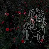 i wanna be your girlfriend