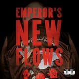 Emperor’s New Flows