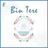 Bin Tere