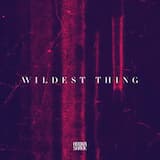 Wildest Thing (original mix)