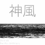 Over the sea, under the sky