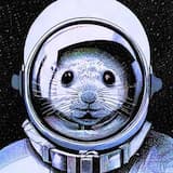 Beach Ukulele Party (15 sec)