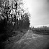 Husk (Where We Stood)