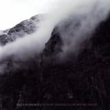 The Cormorants Shiver on Their Rocks