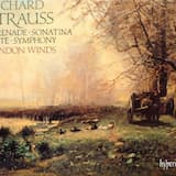 Sonatina no. 1 in F major: Allegro moderato