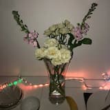 Real Life / The Duet