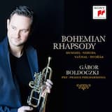 Concerto for Corno di caccia, Strings and Continuo in E-flat major: Allegro