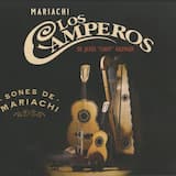 Las olas (las solas) - The Waves (The Single Women)