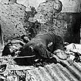 S432D / S203 / SR7225