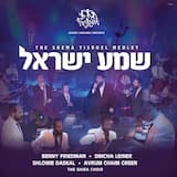 Shema - Dedi & Amit Listvand