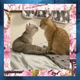 Hidden quiet places tender light in eyes