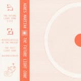 The Future Light Cone 1a