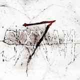 Lies of the Beautiful People (acoustic)