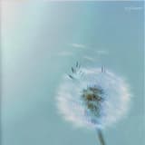 嬉しいことや悲しいこと