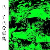 Magenta マゼンタ