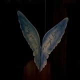 Flying in the Company of Angels