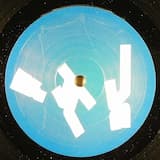 Wild World (full version)