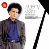 Chaconne in D minor (from Partita no. 2 for Violin, BWV 1004)