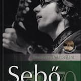 Szék - Szilágy Erzsébet Levelét Megírta