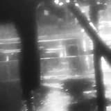 Witches N Dead Trees