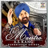 Jina Main Tenu Pyaar