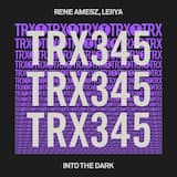 Into the Dark (extended mix)