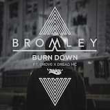 Burn Down