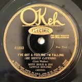 I've Got A Feeling I'm Falling